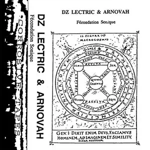 Pochette de Fécondation Sonique de DZ Lectric