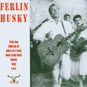 Pochette de Don't Fall Asleep at the Wheel de Ferlin Husky