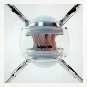 Pochette de So Slow Heart de Jesse Somfay