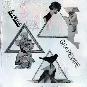 Pochette de Arma de GRAPEVINE