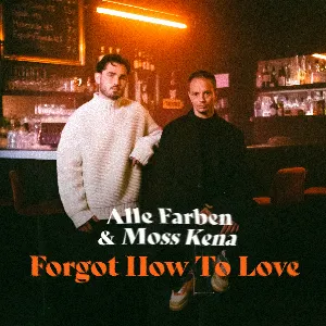 Pochette de Forgot How to Love de Alle Farben