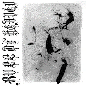 Pochette de XLIII de Bull of Heaven