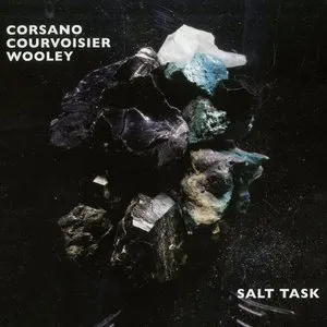 Pochette de Salt Task de Sylvie Courvoisier - Nate Wooley - Chris Corsano