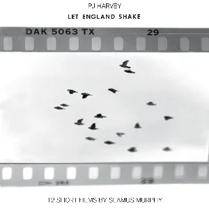 Pochette de Let England Shake: 12 Short Films by Seamus Murphy de PJ Harvey