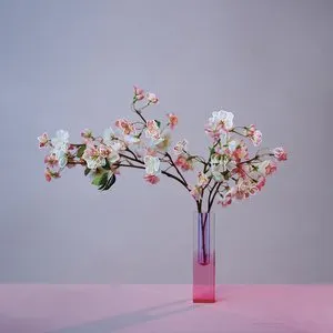 Pochette de feelings are fatal (revisited) de mxmtoon