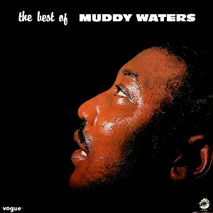 Pochette The Best of Muddy Waters