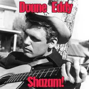 Pochette Shazam! 20 Guitar Greats