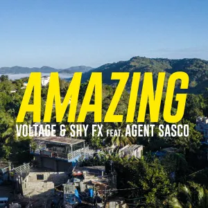 Pochette de Amazing de Agent Sasco