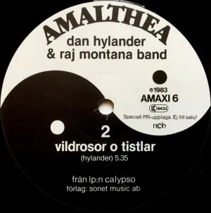 Pochette de Vykort, Vykort de Raj Montana Band - Dan Hylander