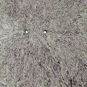 Pochette de Another Dull Dawn de Chris Corsano