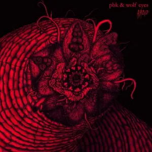 Pochette de Rabid de Wolf Eyes