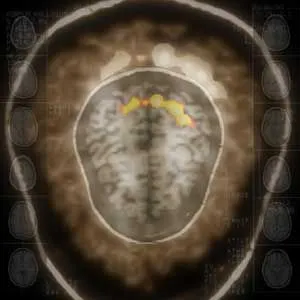 Pochette de Corpus Callosum de Aidan Baker