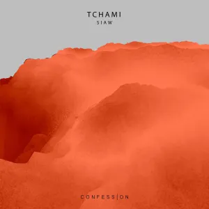 Pochette de SIAW de Tchami