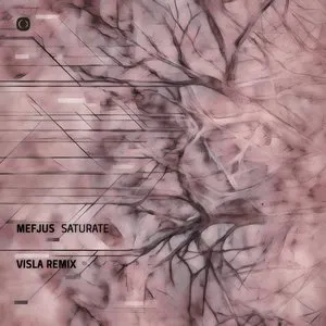 Pochette de Saturate (Visla remix) de Mefjus