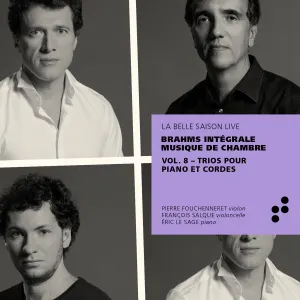 Pochette de Intégrale Musique de Chambre, Vol. 8: Trios pour Piano et Cordes de Éric Le Sage - Pierre Fouchenneret - François Salque - Johannes Brahms