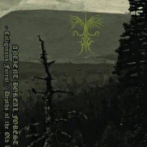 Pochette de Caliginous Forest / Depths of the Old Tomb de Ancient Boreal Forest