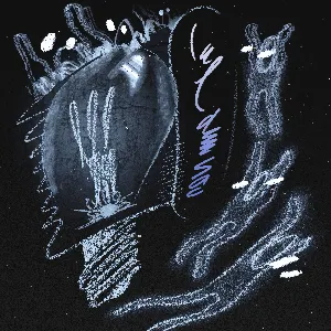 Pochette de cul de sac de Moses Sumney