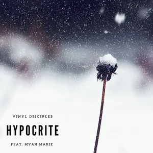Pochette de Hypocrite de Vinyl Disciples