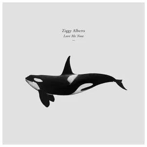 Pochette de Love Me Now de Ziggy Alberts