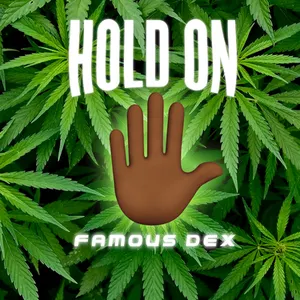 Pochette de Hold On de Famous Dex