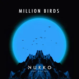 Pochette de Million Birds de NURKO