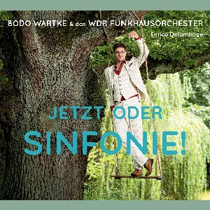 Pochette de Jetzt oder Sinfonie! de Bodo Wartke - WDR Funkhausorchester