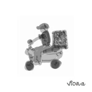 Pochette de d e l i v e r y de VIONA