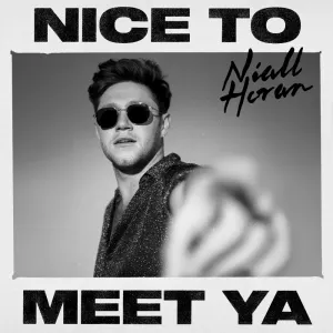 Pochette de Nice to Meet Ya de Niall Horan