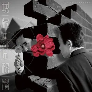 Pochette de 現象の花の秘密 de Susumu Hirasawa