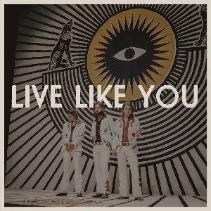 Pochette de Live Like You de DeWolff