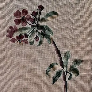Pochette de Soft Enrichment de Marc Hasselbalch