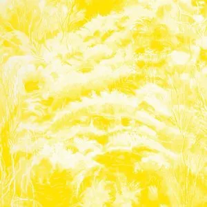 Pochette de In the Half Light (instrumental) de Zero 7