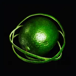 Pochette de Incomprehensible de Big Thief