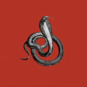 Pochette de Desert Song de Yodelice