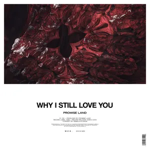 Pochette de Why I Still Love You / In Dreams de The Astronauts
