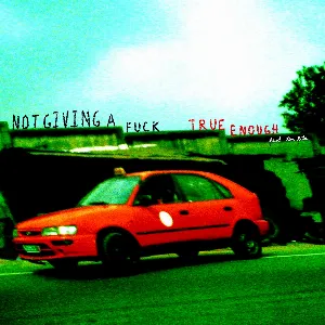Pochette de True Enough / Not Giving A Fuck de Bonaparte