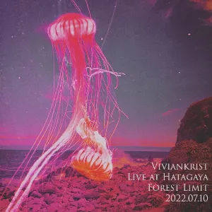 Pochette de Live at Forest Limit 2022 de Viviankrist