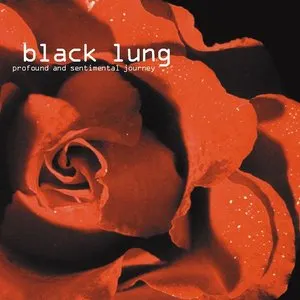 Pochette de Profound and Sentimental Journey de Black Lung