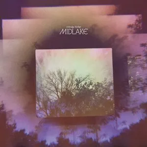 Pochette de Days Gone By de Midlake