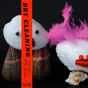 Pochette de Bug Eggs / Tony Speaks! de Dry Cleaning