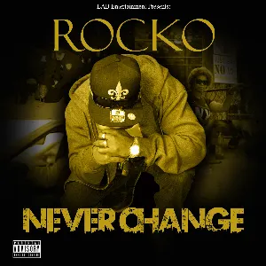 Pochette de Never Change de Rocko