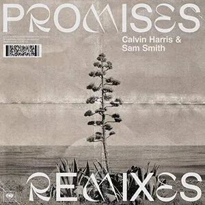 Pochette Promises (Remixes)