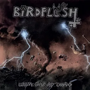 Pochette de Extreme Graveyard Tornado de Birdflesh