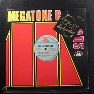 Pochette de Band Of Gold de Sylvester
