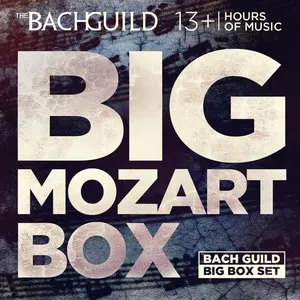 Pochette Big Mozart Box