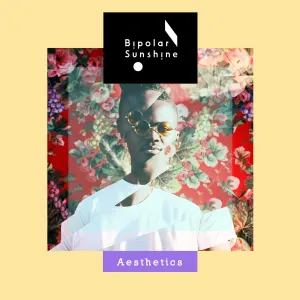Pochette de Aesthetics de Bipolar Sunshine