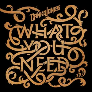 Pochette de What You Need de Danko Jones