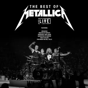 Pochette The Best of Metallica