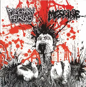 Pochette de Pulmonary Fibrosis / Mesrine de Pulmonary Fibrosis