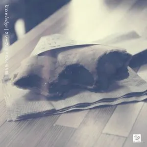 Pochette de KR∆PES de Knxwledge